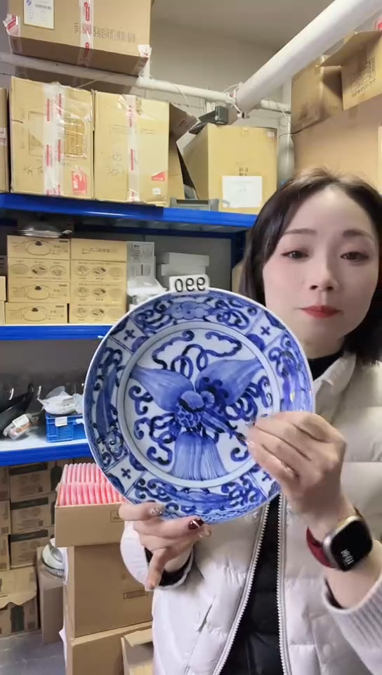 【闪购商品】瓷片日本进口瓷器23cm盘990