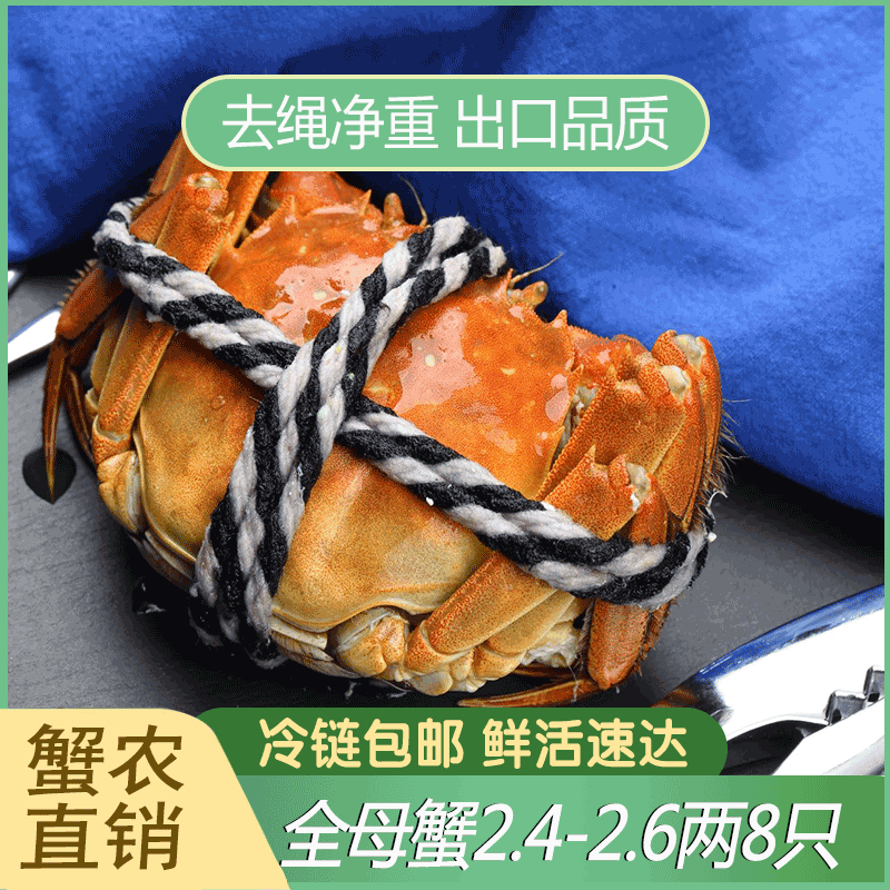 【活蟹全母】江苏大闸蟹母蟹2.4-2.7两6/8/10只装鲜活现货螃蟹礼盒