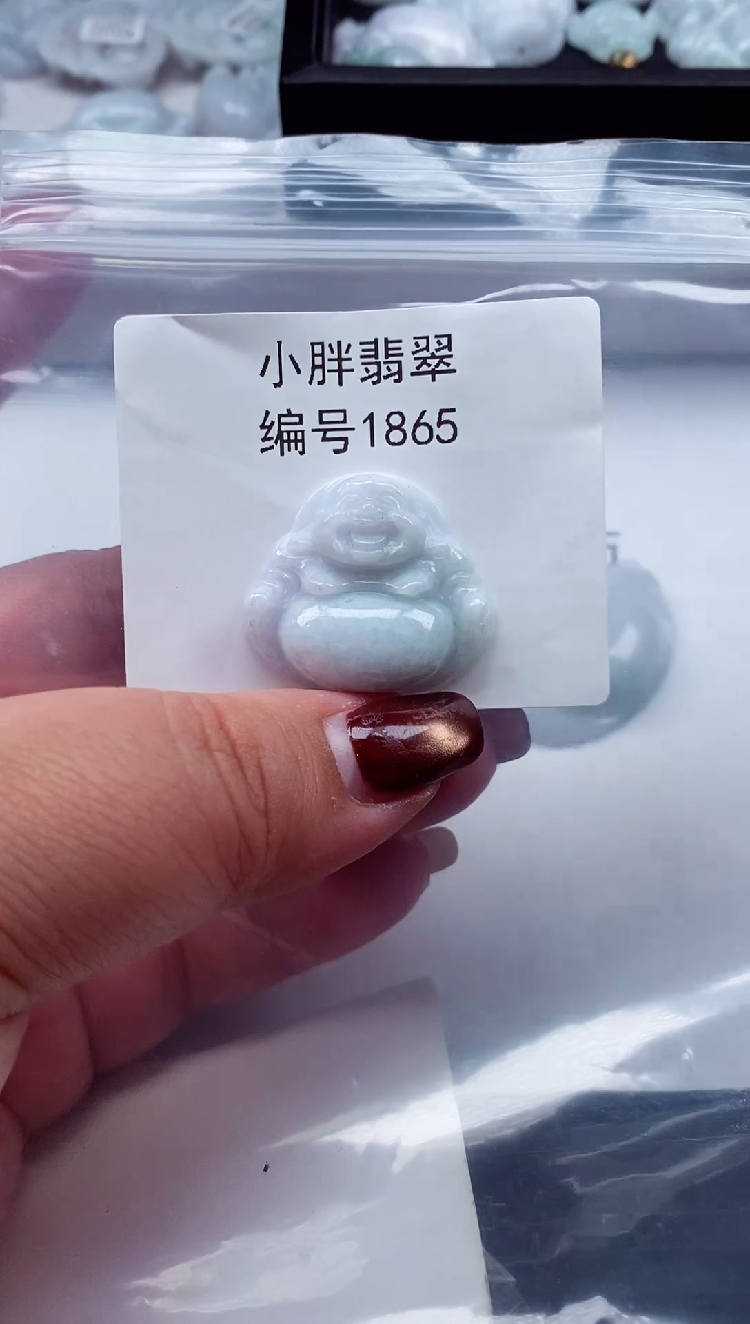 颈饰未镶嵌翡翠缅甸天然A货翡翠1865