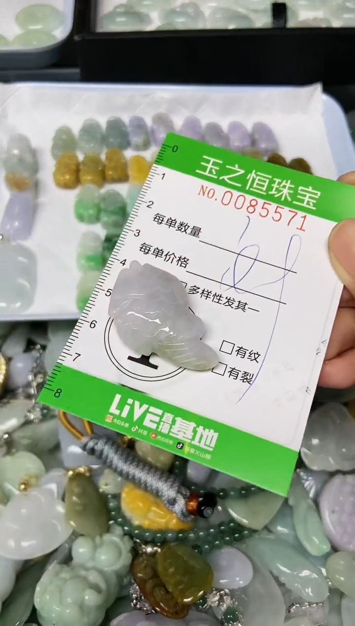 翡翠未镶嵌颈饰闪购0085571
