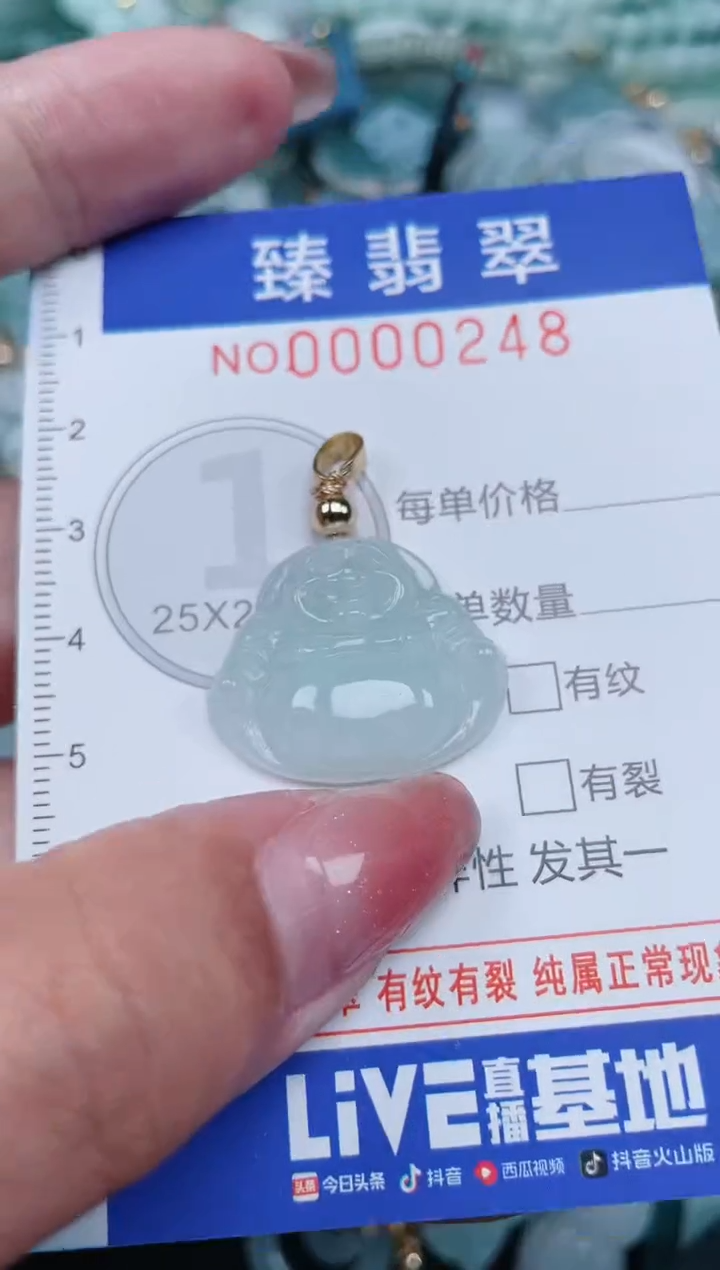 【闪购商品】翡翠颈饰未镶嵌.0000248