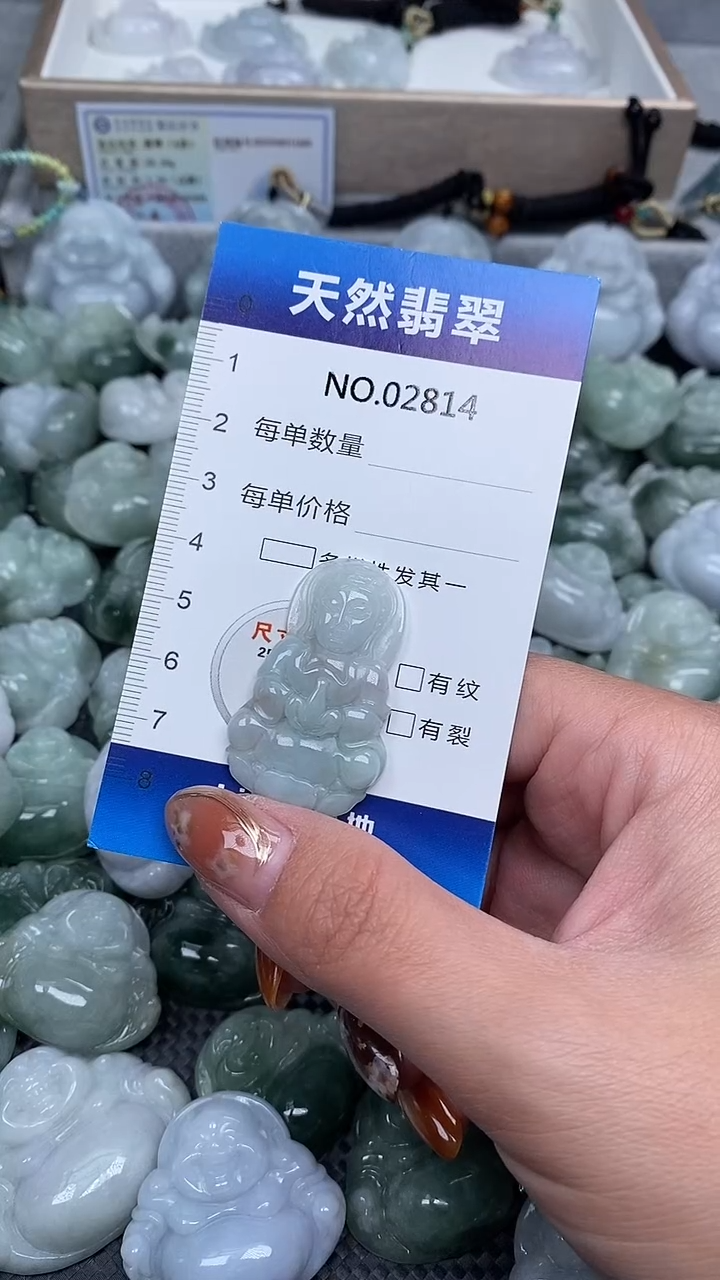 颈饰未镶嵌翡翠纯天然A货翡翠2814