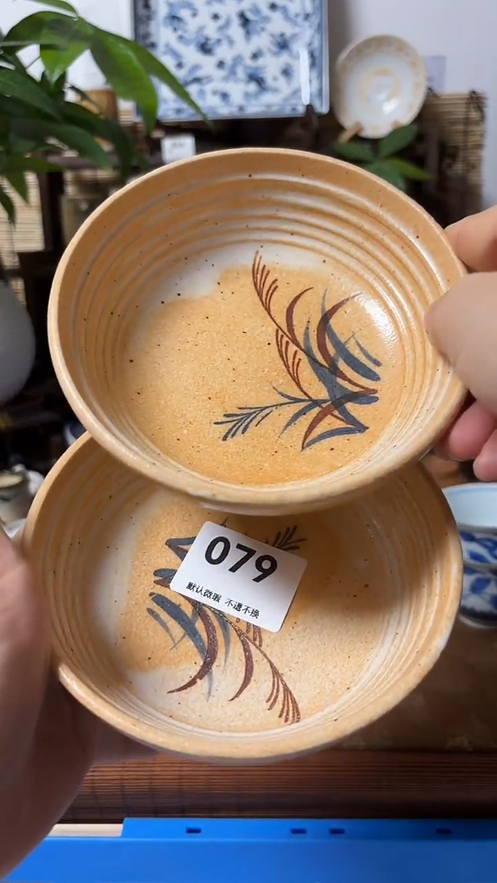 【闪购商品】瓷片喵喵家都是大漂亮