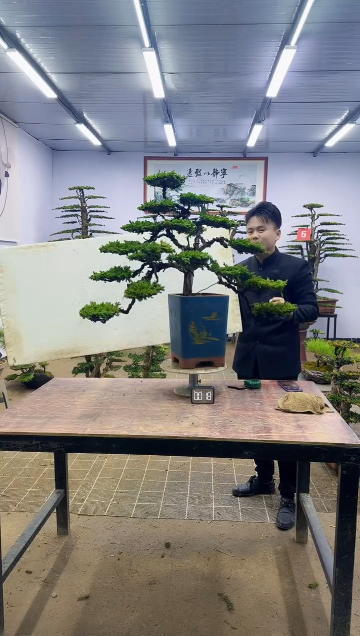 【闪购商品】一物一拍，所见即所得