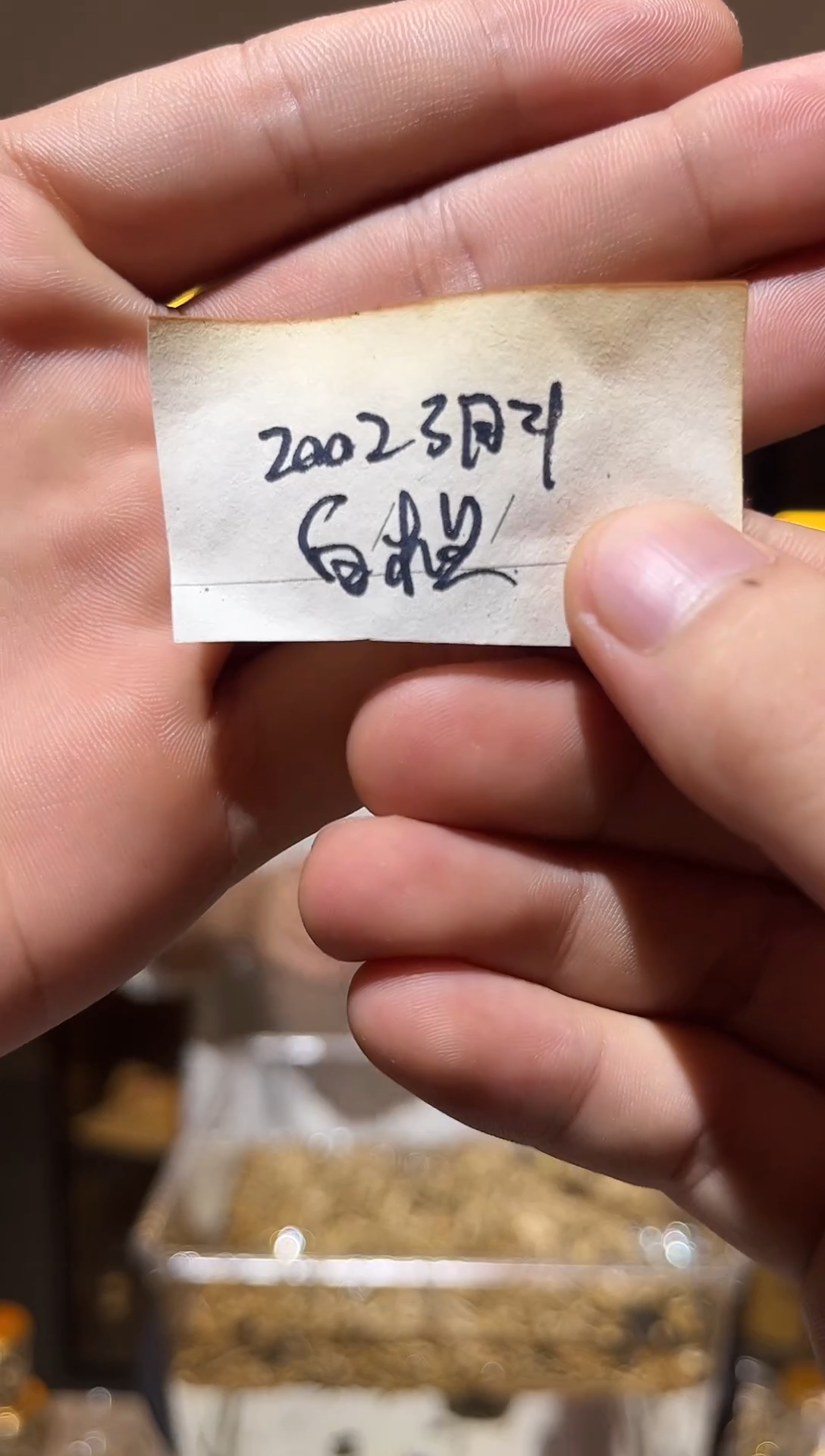 沉香沉香碎屑ggggg