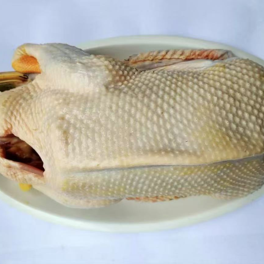 （10只送1）新鲜青头鸭麻鸭土鸭水鸭现杀顺丰发货