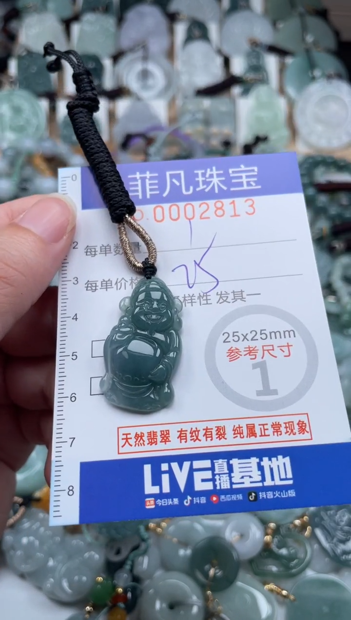 翡翠未镶嵌颈饰00..2813