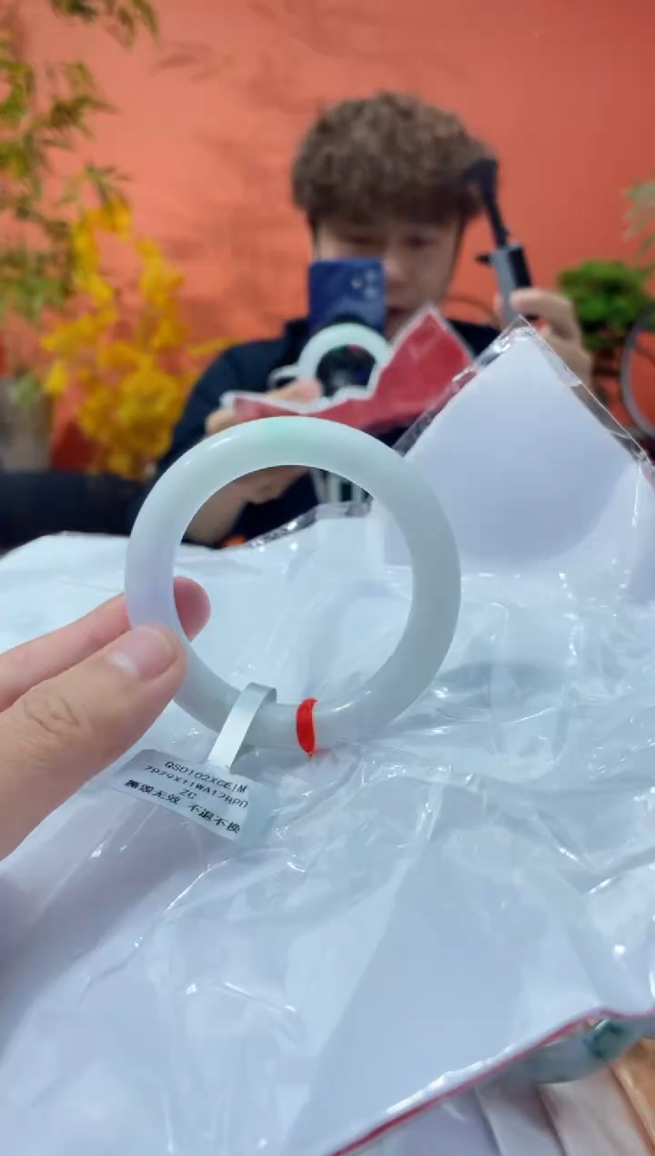 未镶嵌手镯翡翠7