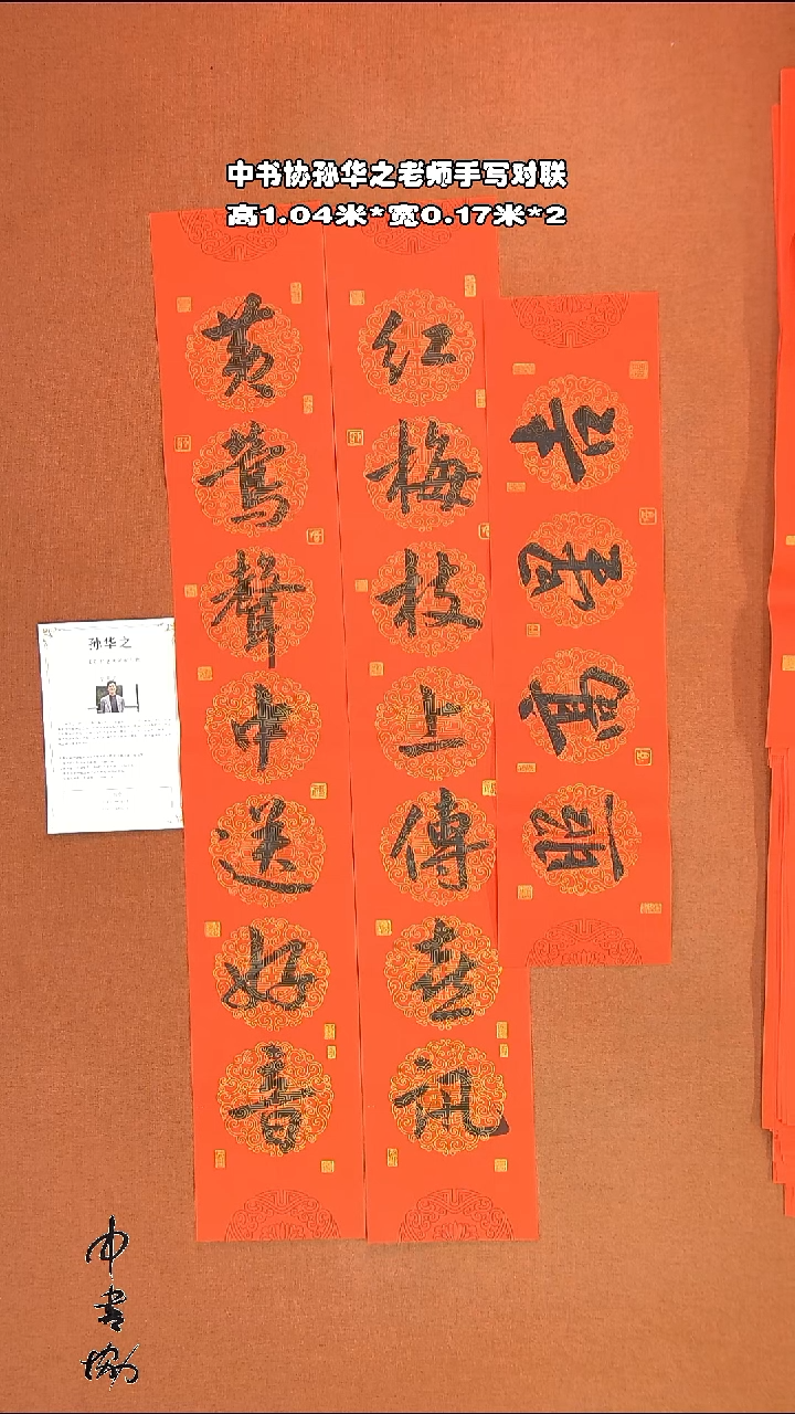 【闪购商品】书法08孙华之书法作品