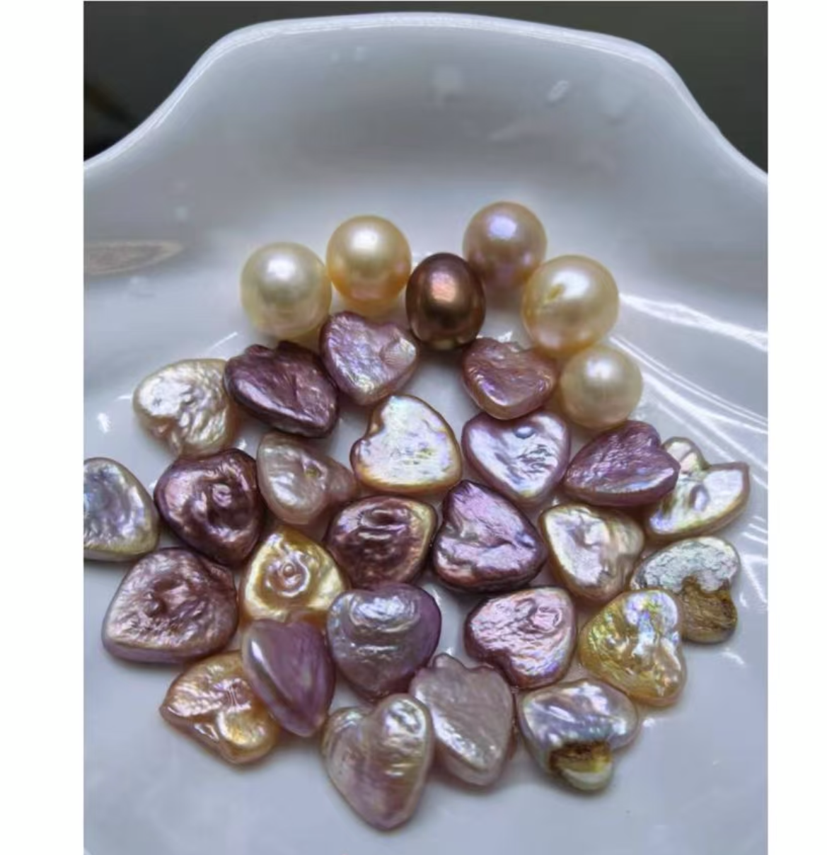 #炫彩爱心 （活体不退换） 可定制 可DIY成品