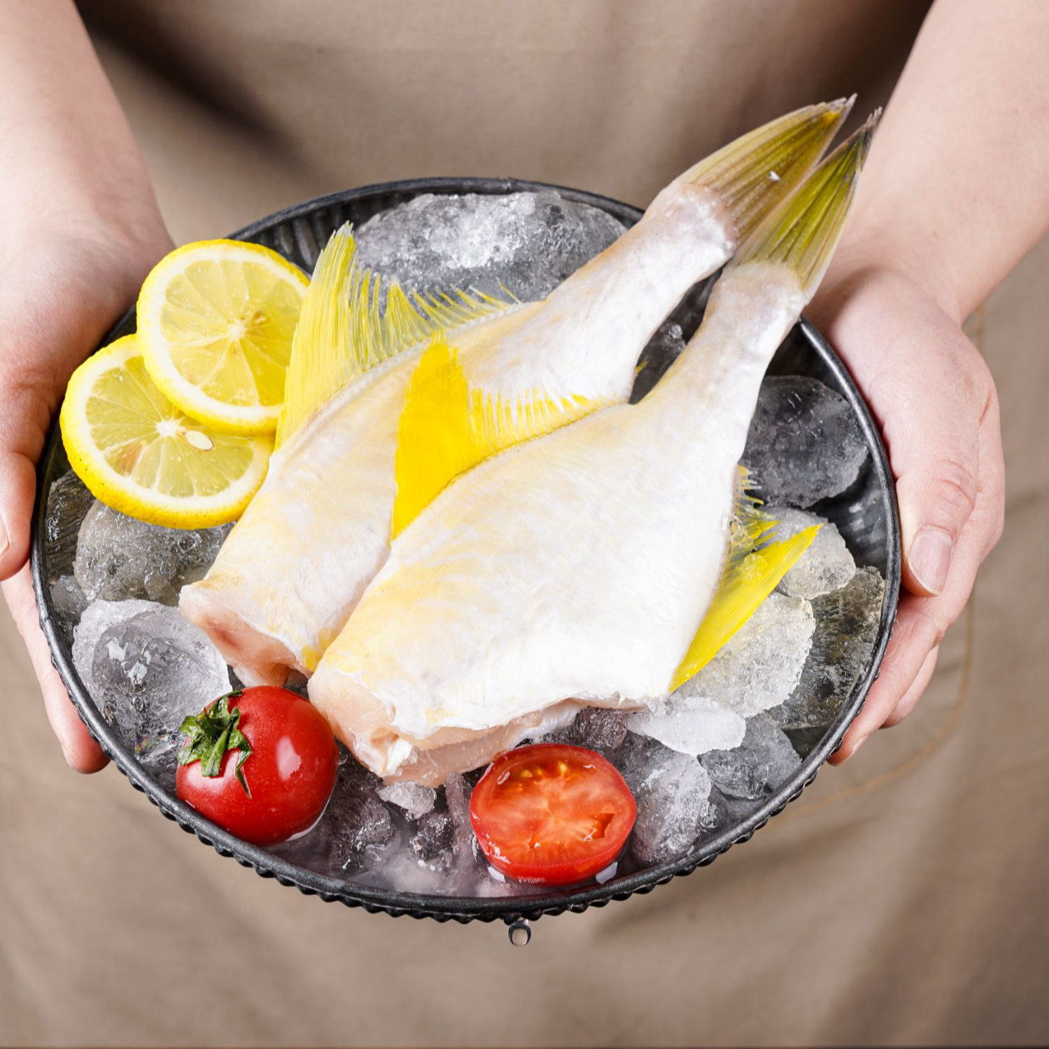 【3斤/件】尝鲜优选深海鲜捕马面耗儿鱼顺丰直达蒜瓣嫩肉超美味