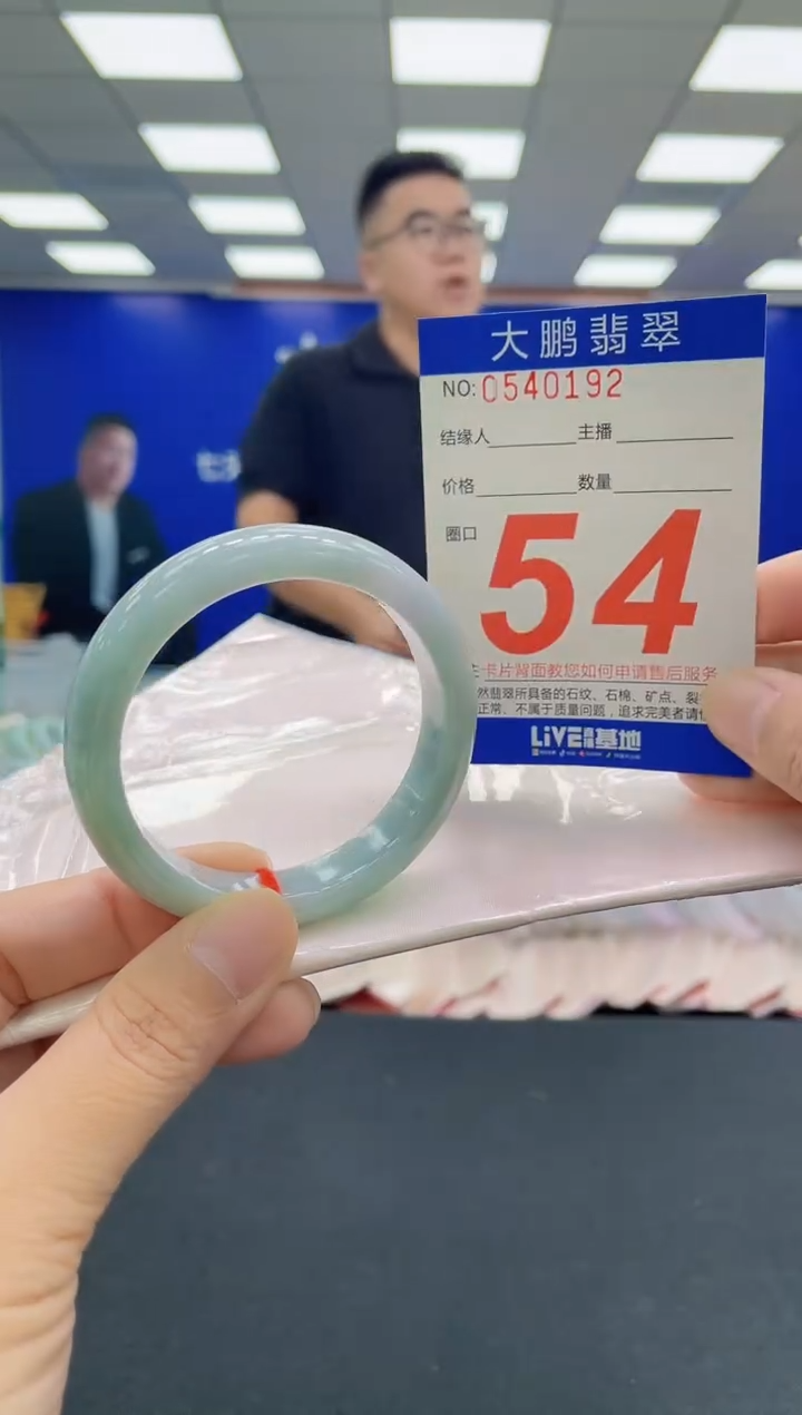 未镶嵌手镯翡翠AAAAAAAAA