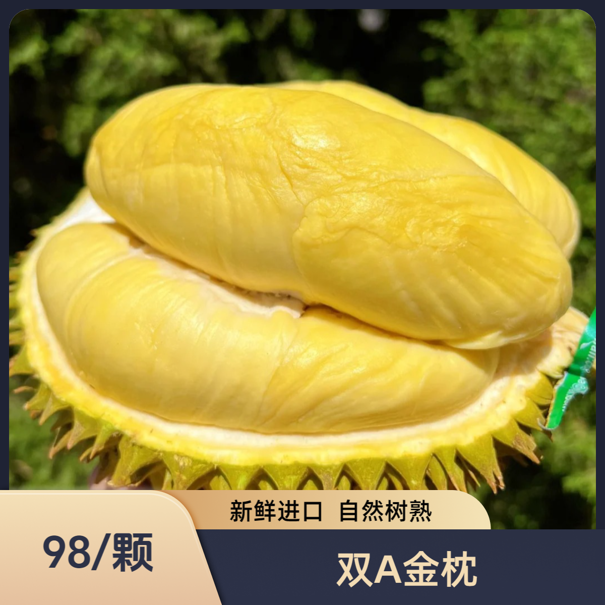 【纯肉】2斤AA金枕榴莲【直播间现开】泰国树熟金枕榴莲核小肉厚新鲜榴莲广州黄埔同城送金枕泰国