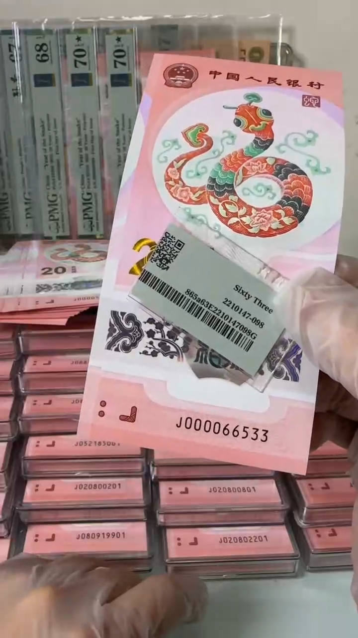 【闪购商品】塑料000066533包PMG68分