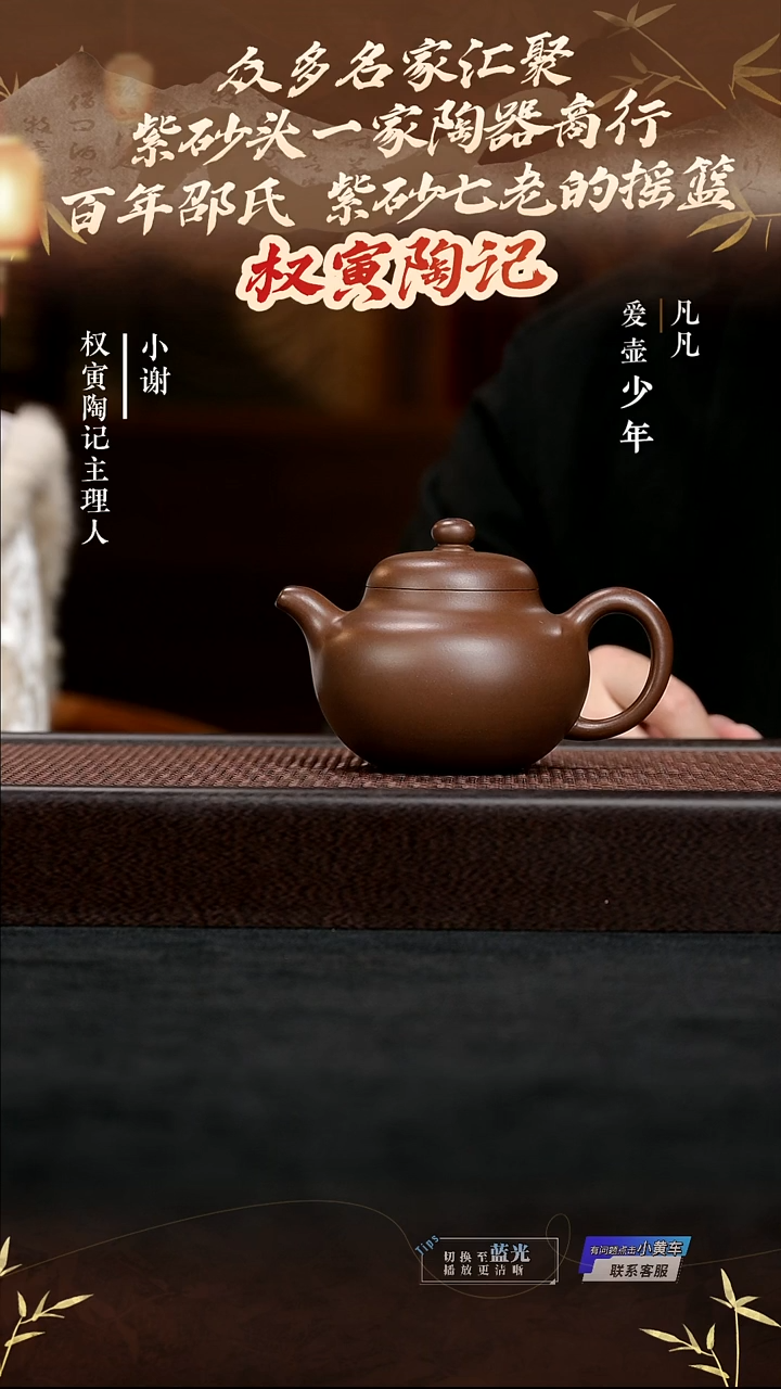 茶壶紫砂YM权寅陶记169柿圆革泥300cc