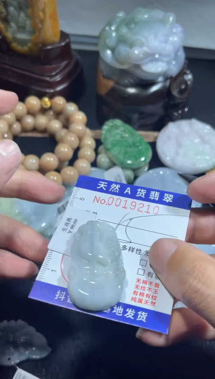 【闪购商品】翡翠颈饰未镶嵌00019210