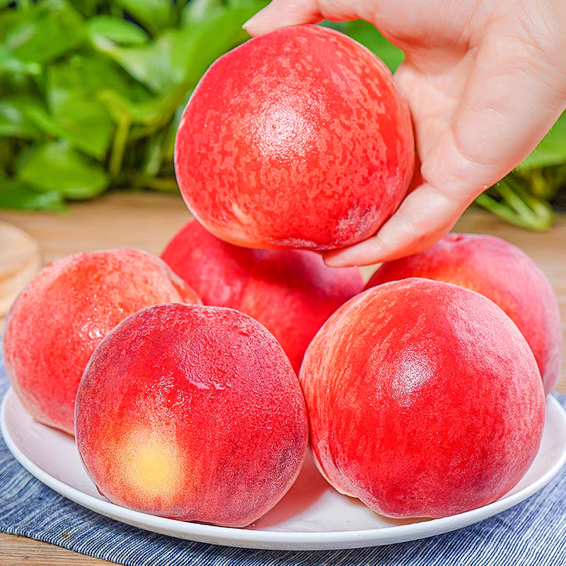 正宗水蜜桃脆软桃新鲜水果现摘桃整箱2.8斤浙江省