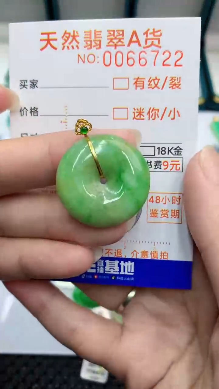 【闪购商品】翡翠颈饰18K金镶嵌            8