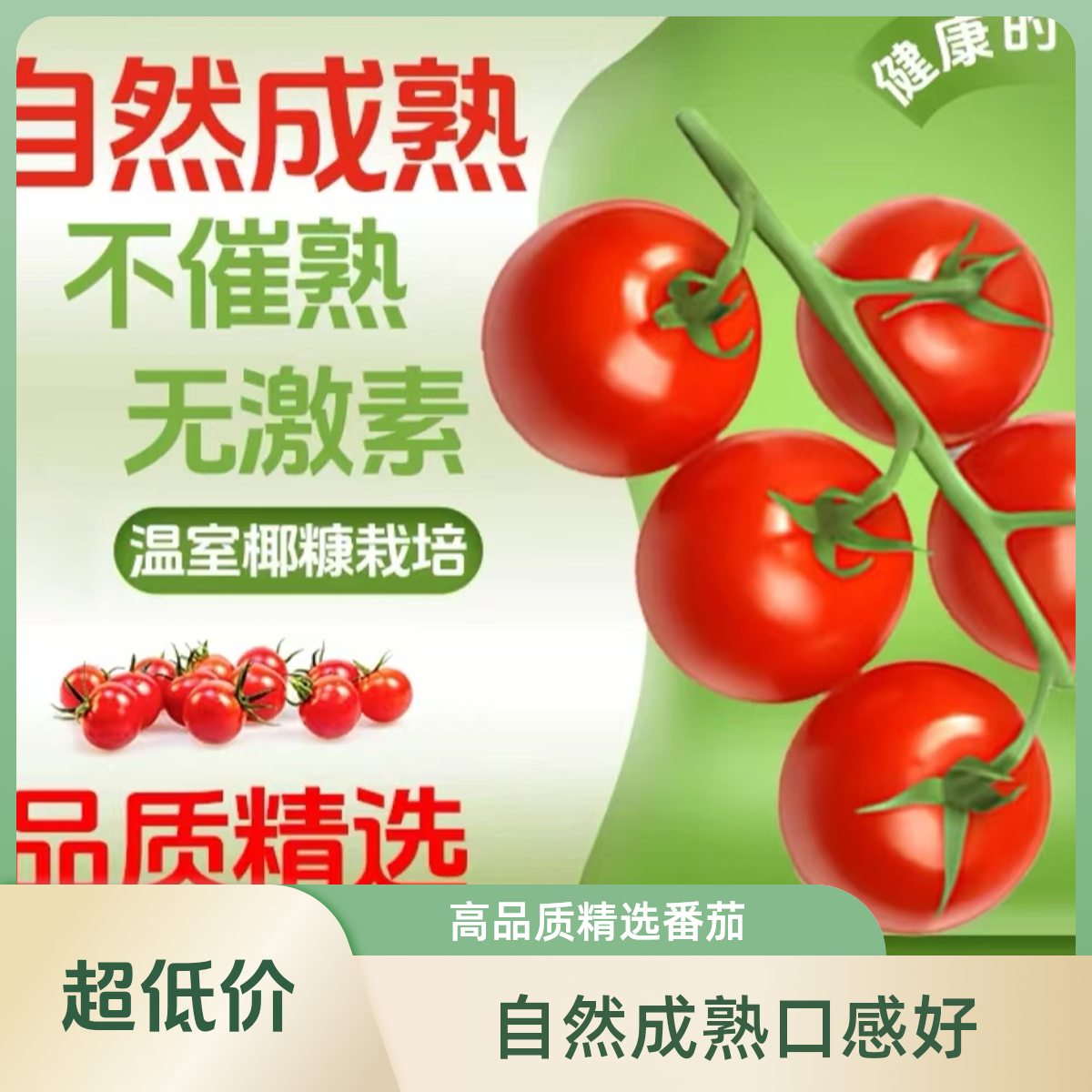 玲珑龙珠口感番茄细腻不酸自热成熟