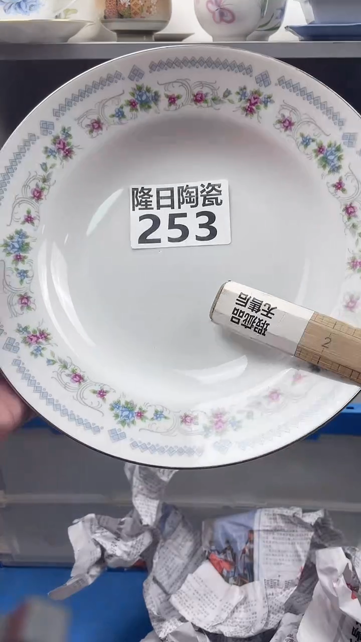 【闪购商品】瓷片longritaoci253
