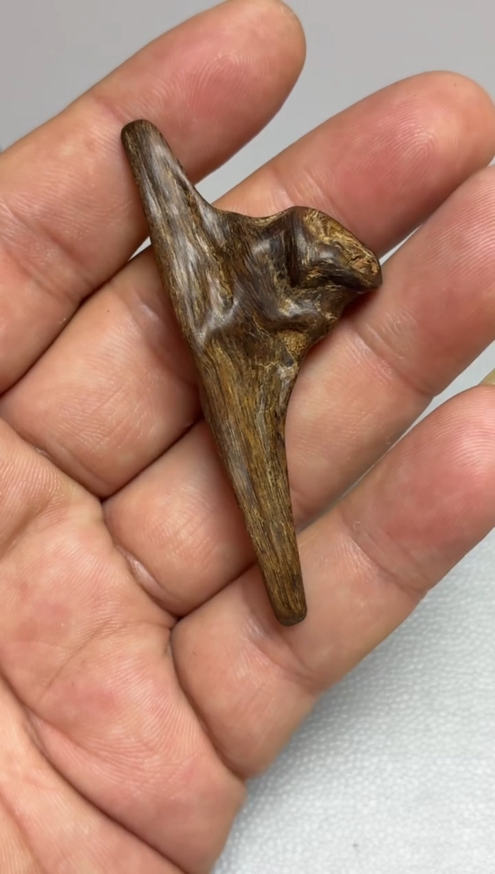 沉香吊坠 越南随型沉水吊坠多样性发其一