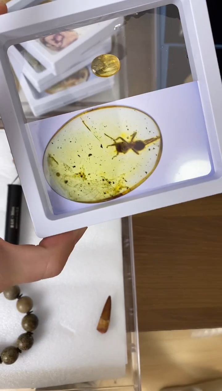 美摆件创意礼物家居配饰新年礼物个人收藏