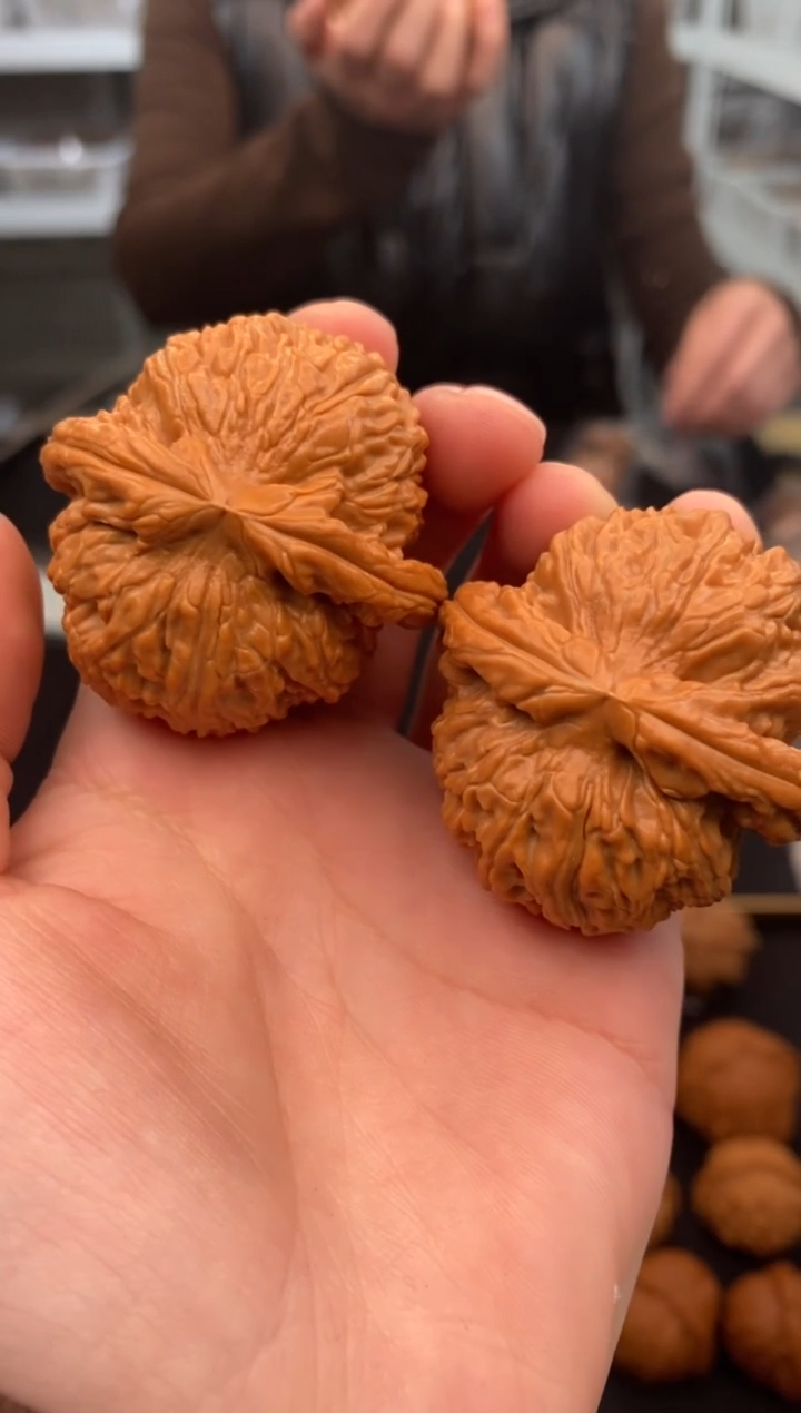 【闪购商品】文玩核桃把件白狮子43-u793