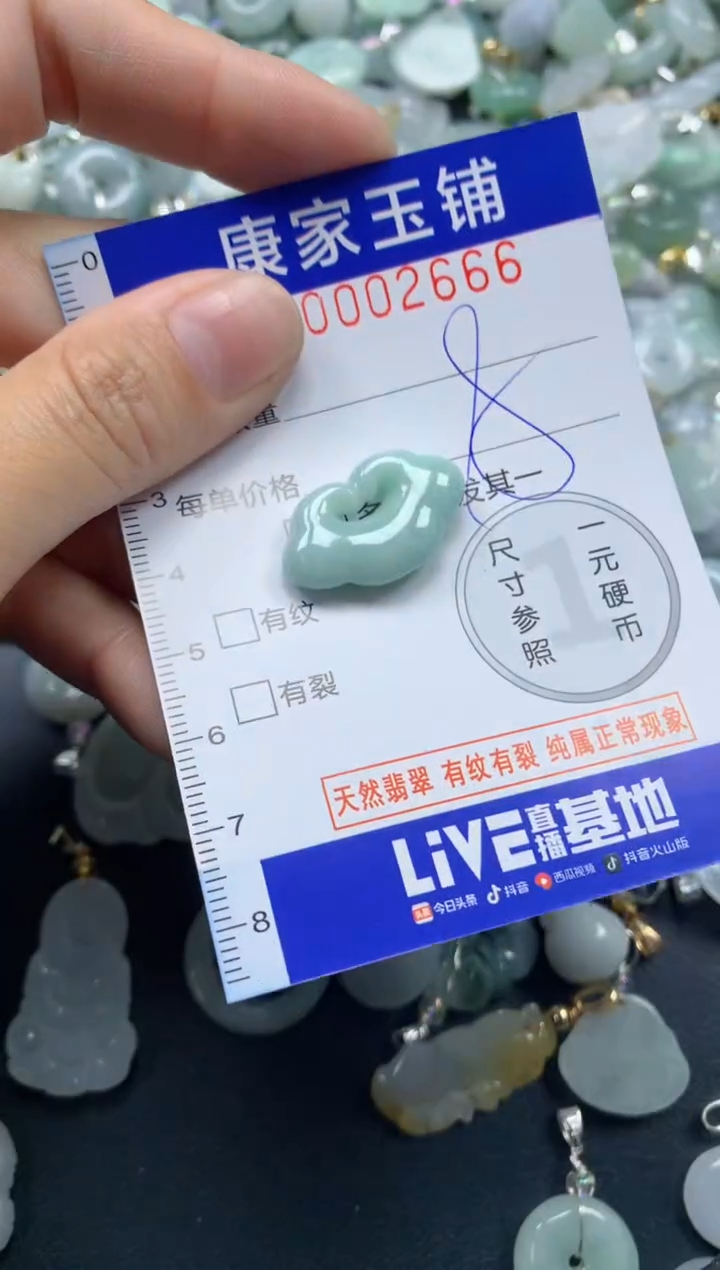 颈饰未镶嵌翡翠2666