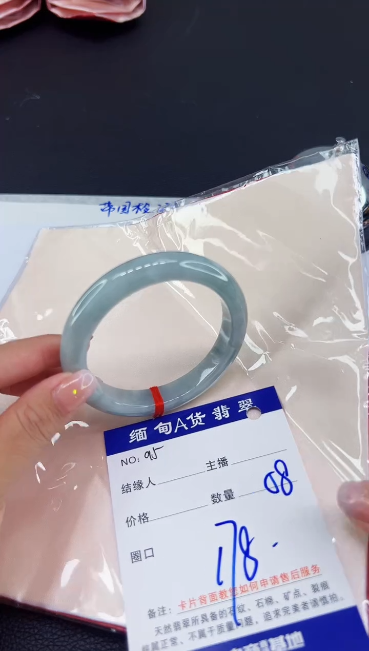 未镶嵌手镯翡翠11111