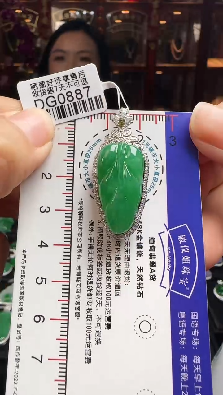 【闪购商品】翡翠颈饰18K金镶嵌DG0887冰绿叶子