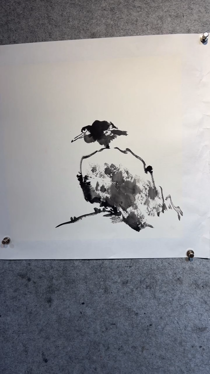 国画澹*张自学水墨国画41
