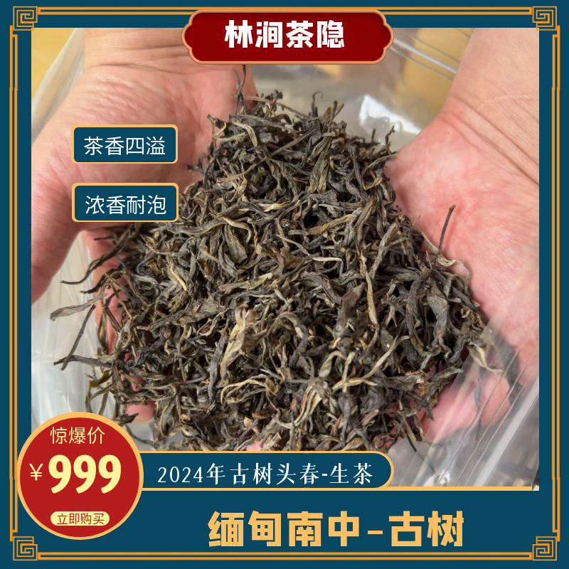 2025年缅甸古树头春生茶（茶气足，韵味好，口粮茶性价比）
