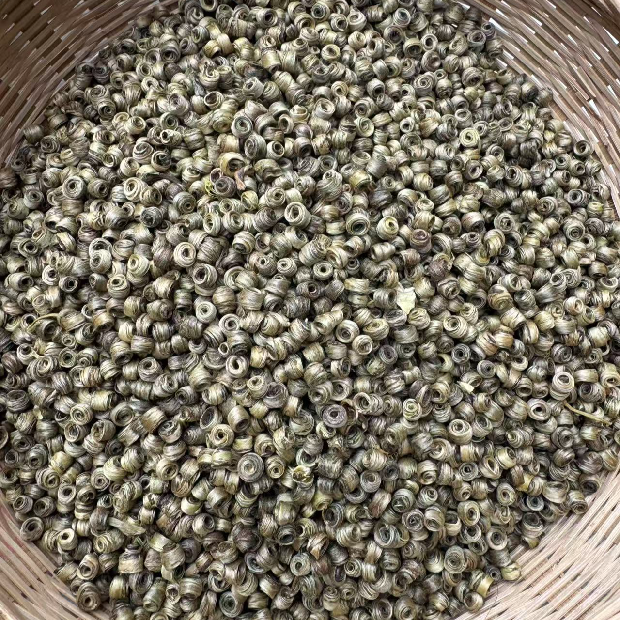 高山 农家 茉莉女儿环  