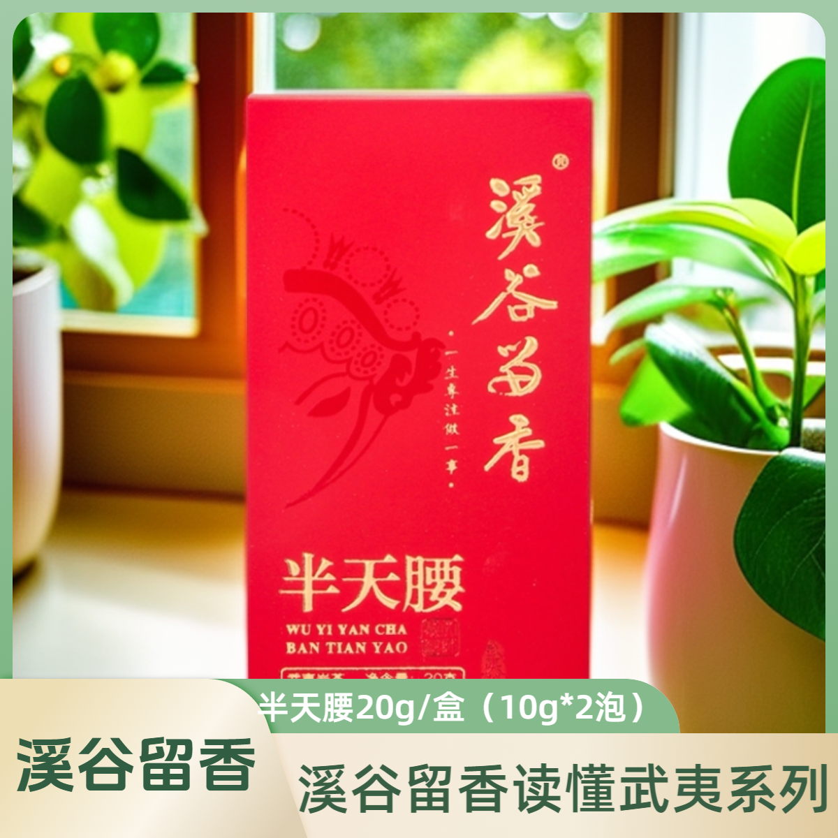 溪谷留香读懂武夷系列半天腰20g/盒武夷岩茶口粮茶高级茶品鉴装