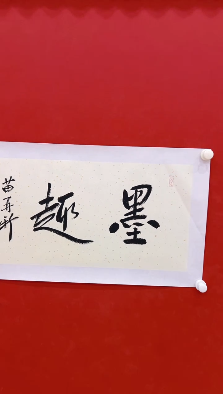 【闪购商品】书法苗在新            书法2平尺