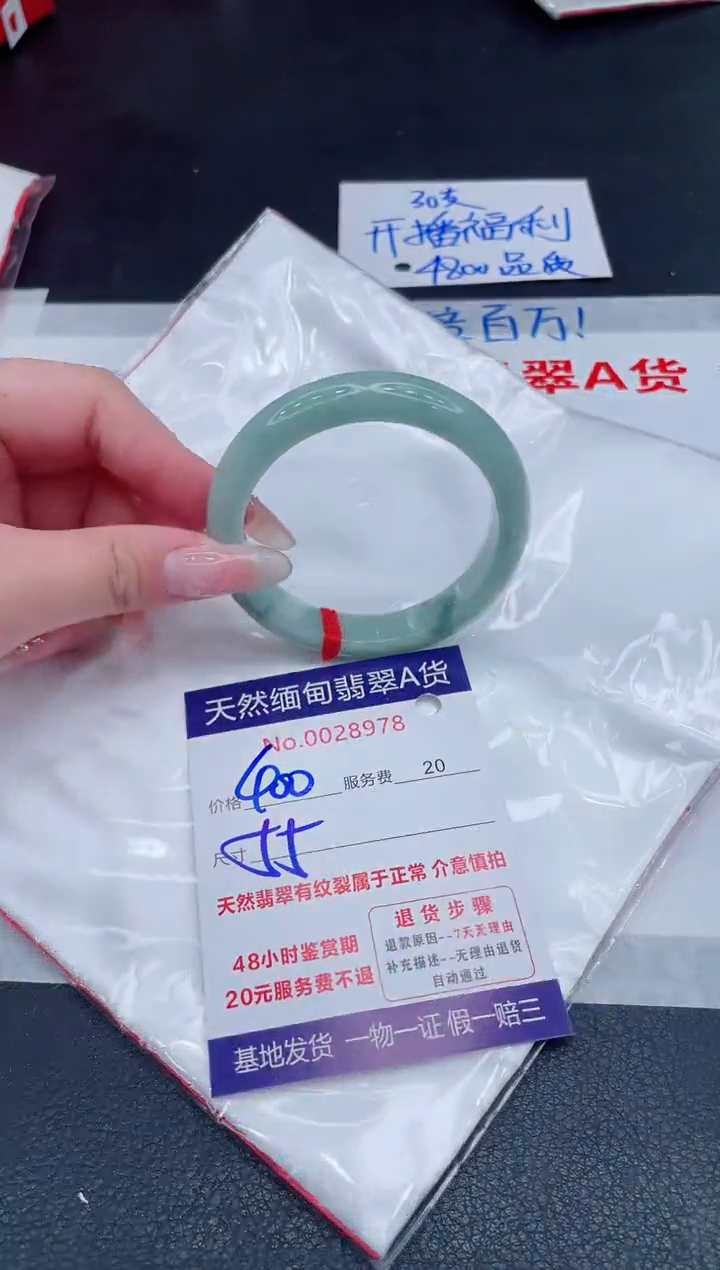 未镶嵌手镯翡翠1