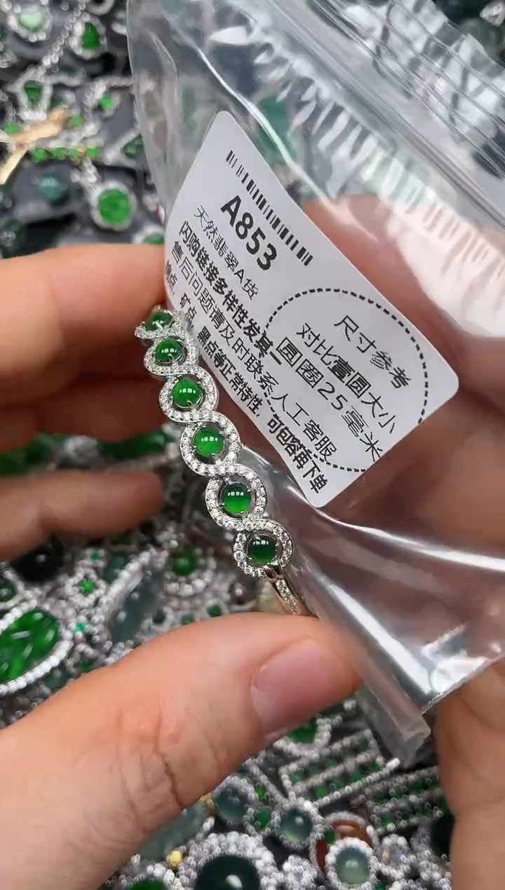 颈饰未镶嵌翡翠A853手镯