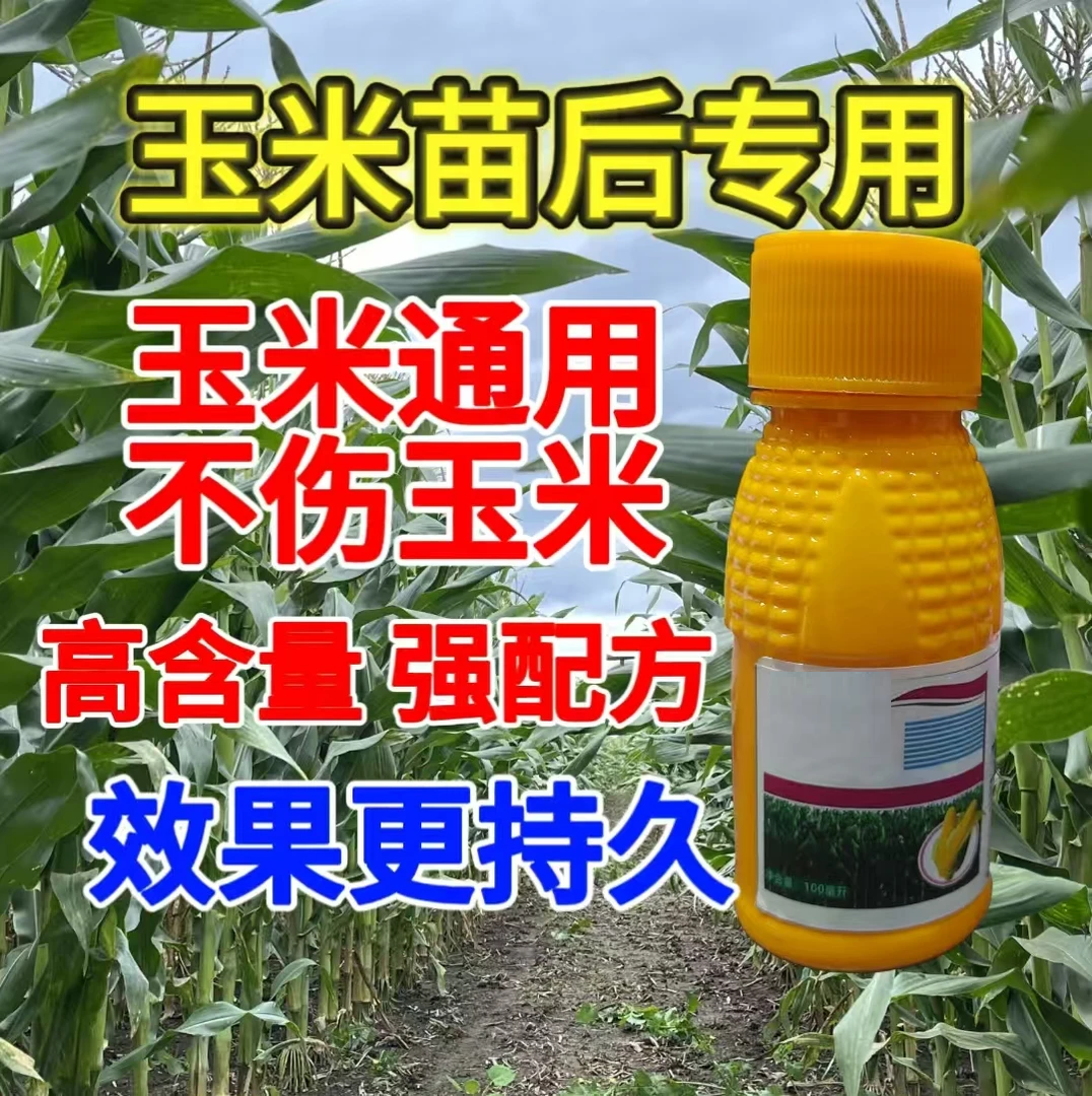 田地可用正品保障玉米专用高效复合剂