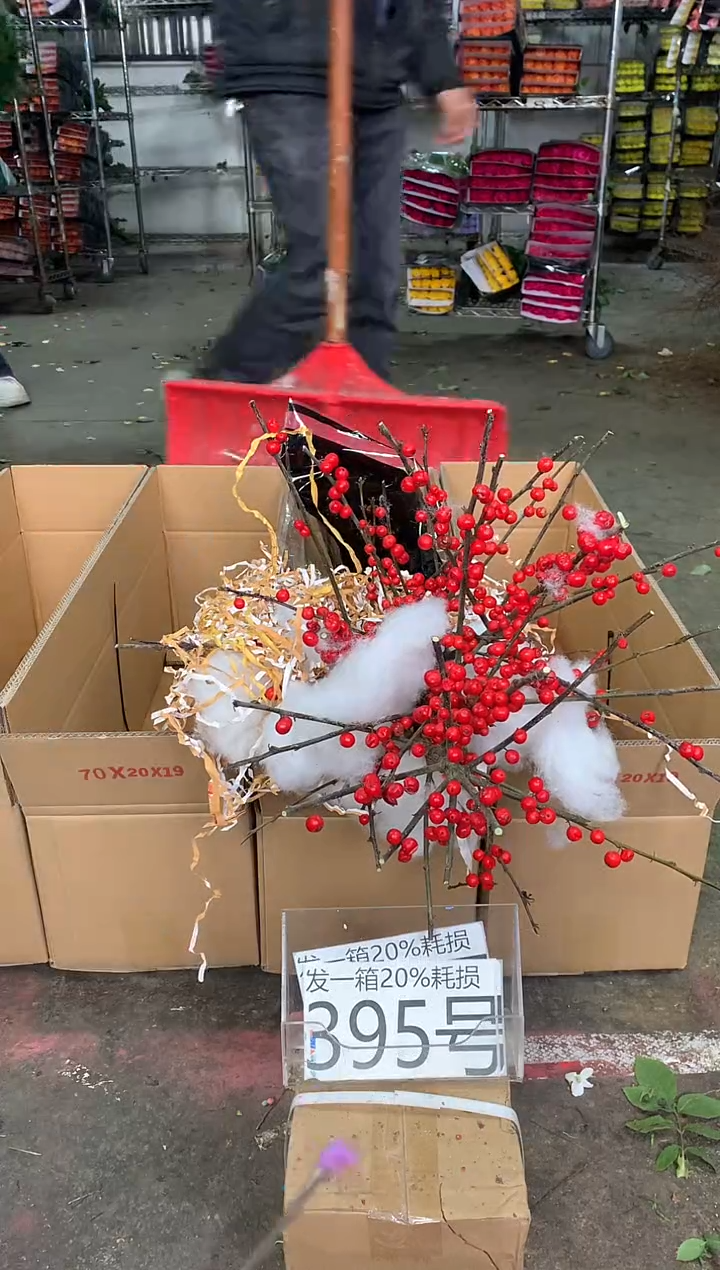 395号♥中通含20%耗损发一箱冬青