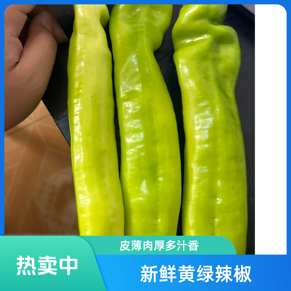 新鲜尖椒3斤
