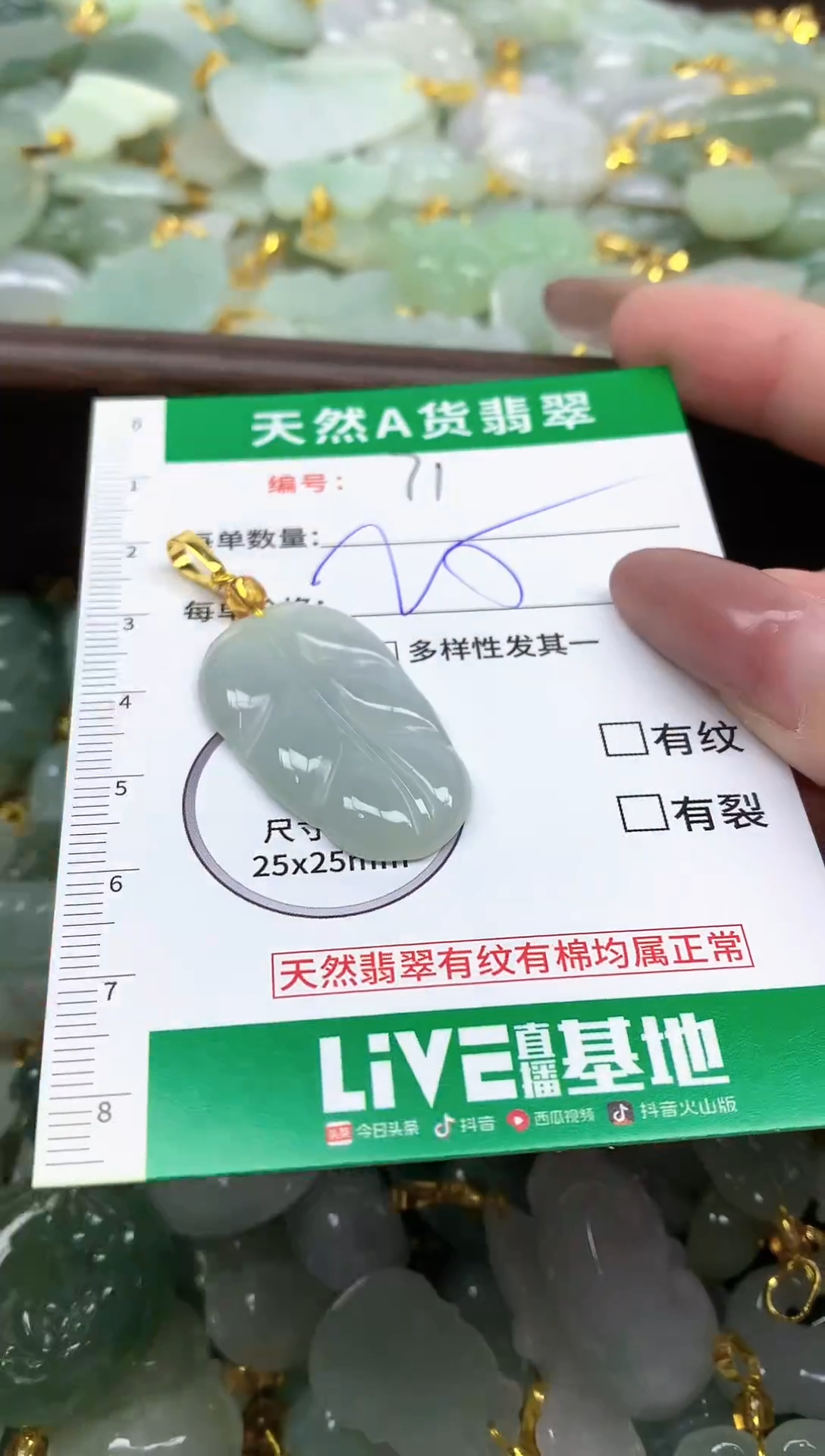 颈饰未镶嵌翡翠纯天然缅甸A货翡翠-71