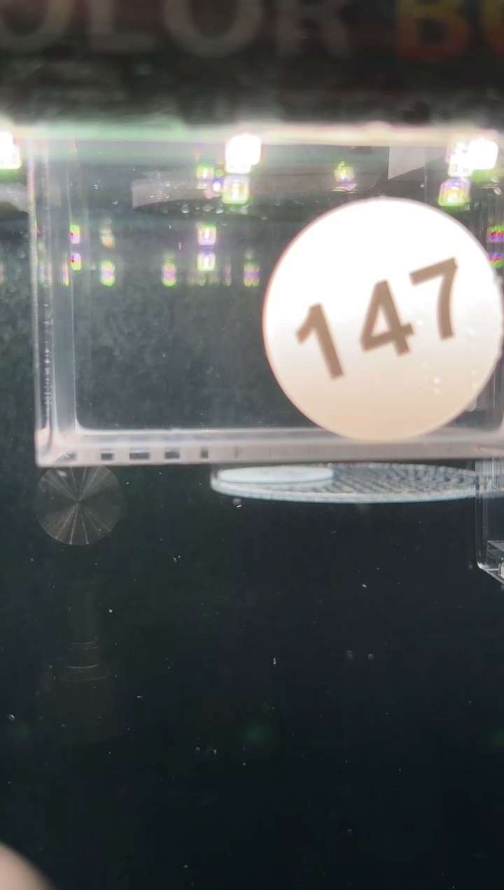 灯科鱼【147】超级红魔鬼