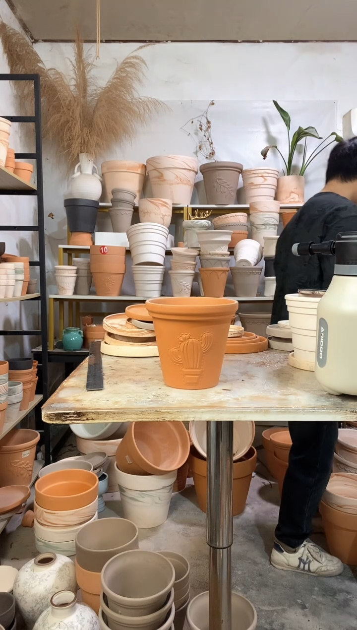 样品无售后16*15红陶仙人掌 1盆无托