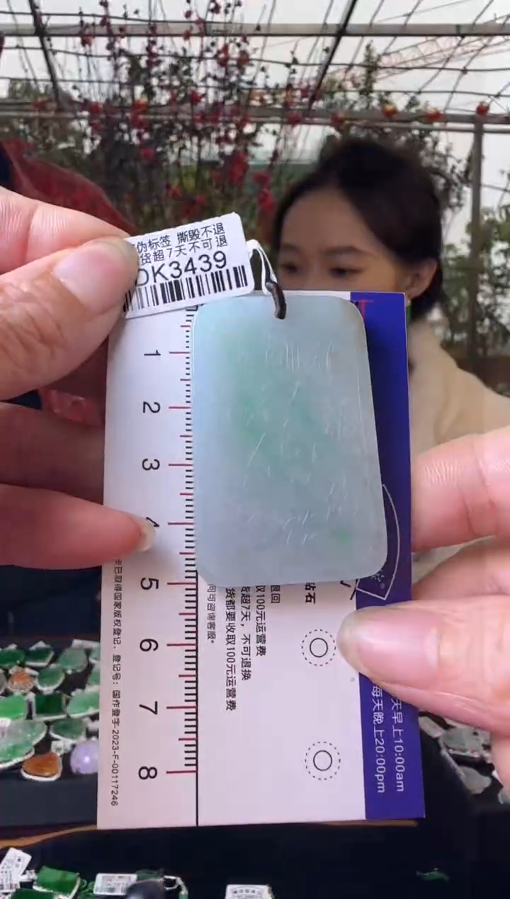 【闪购商品】翡翠颈饰未镶嵌DK3439无事牌
