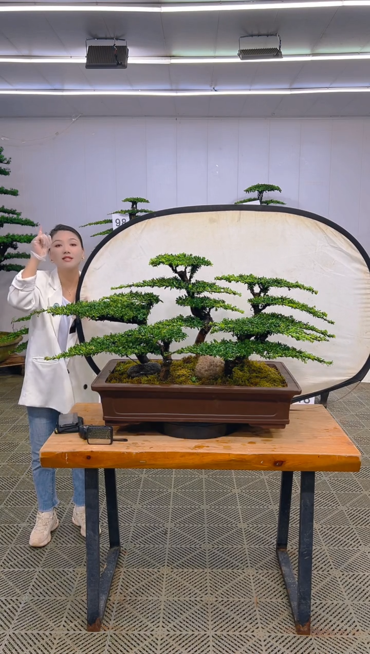 无花朵一物一拍一物一拍