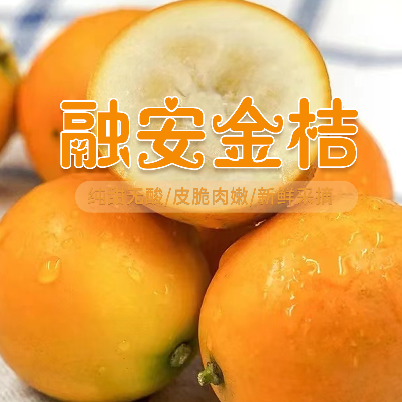 【礼盒装】广西融安金桔产地直发顺丰包邮