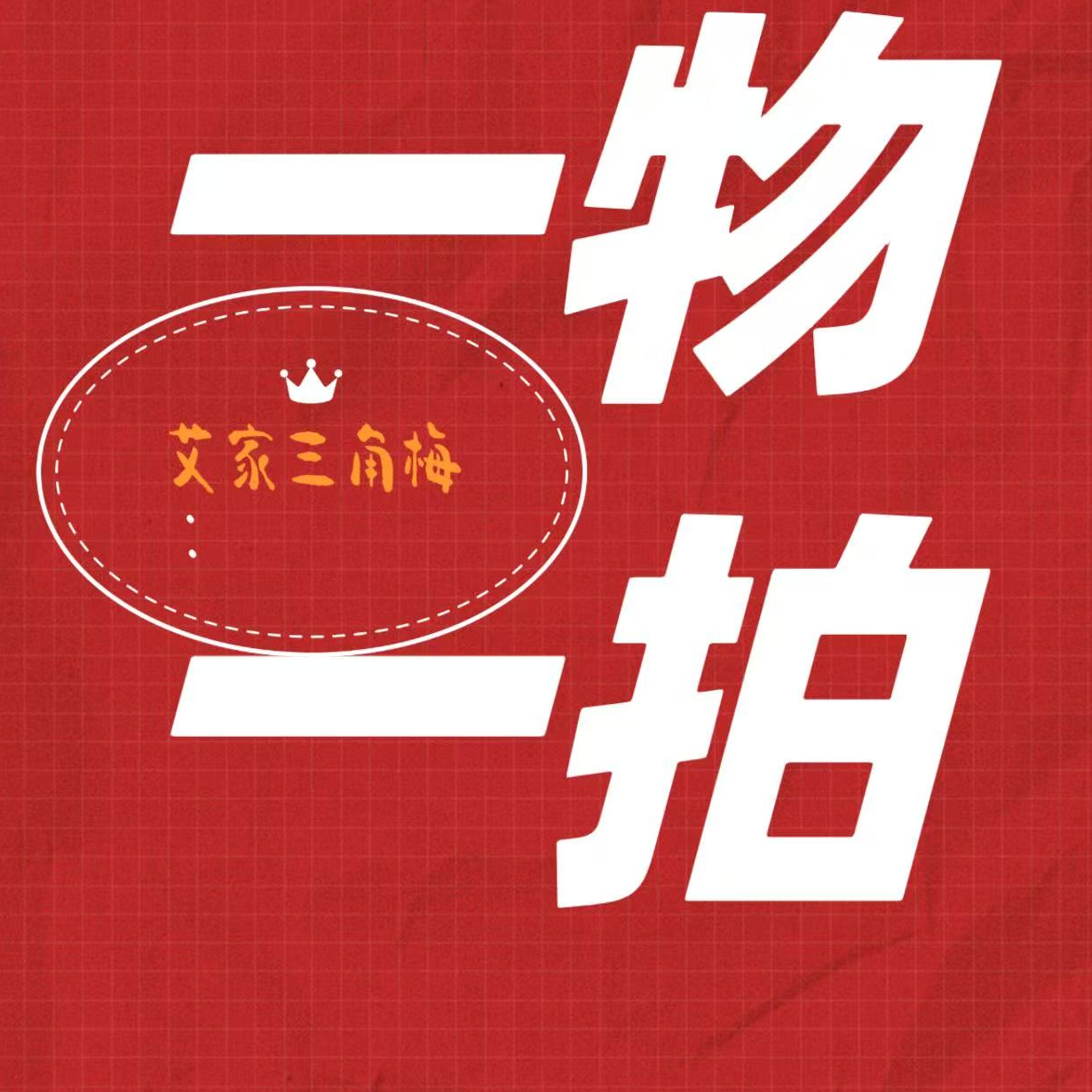 三角梅，一物一拍，原盆原土发货