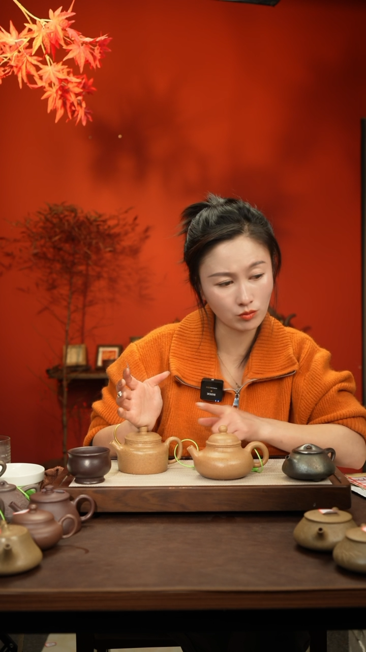 【闪购商品】紫砂茶壶粗砂黄降坡容天