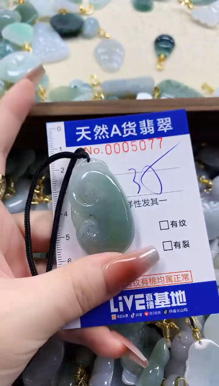 颈饰未镶嵌翡翠天然A货翡翠