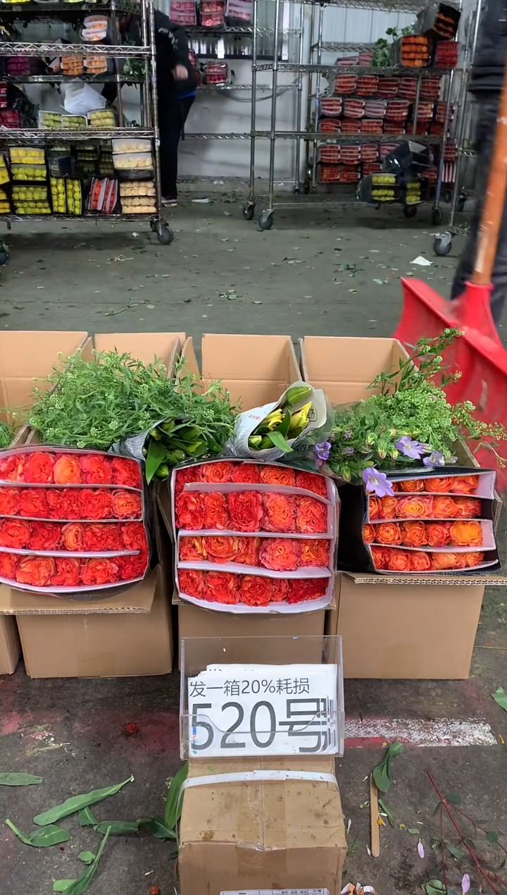 520号♥中通含20%耗损发一箱鲜花